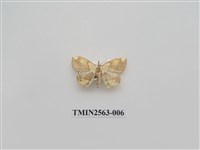 藏品(尺蛾62)的圖片